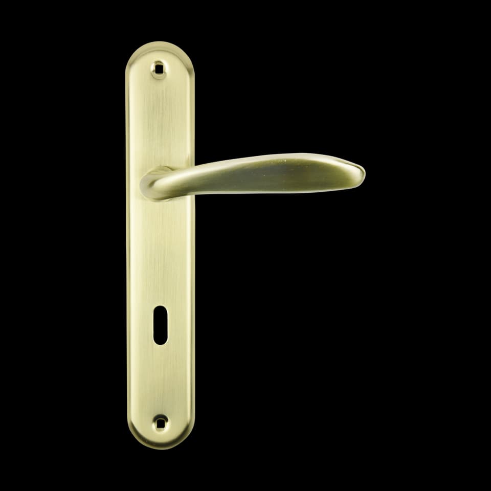 SET MÂNER PLACĂ ROTUNDĂ  PENTRU UȘĂ INTERIOARĂ BRASS Α1243, FF GROUP