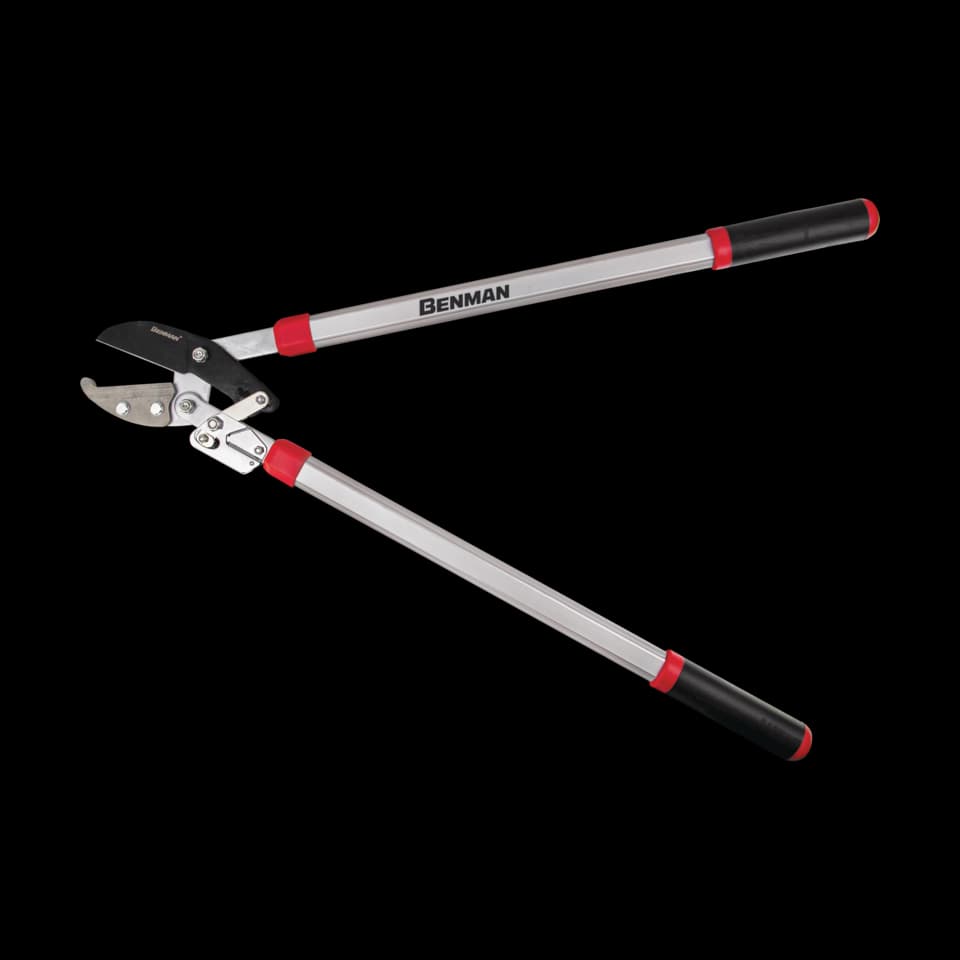 FOARFECĂ ANVIL GRĂDINĂ CU CREMALIERĂ, Benman, 75cm