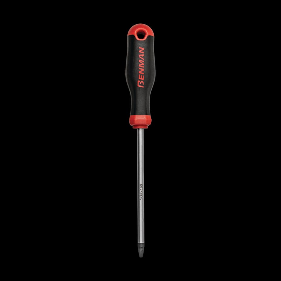 ERGO GRIP ȘURUBELNIŢĂ ROBERTSON 1x100mm BENMAN
