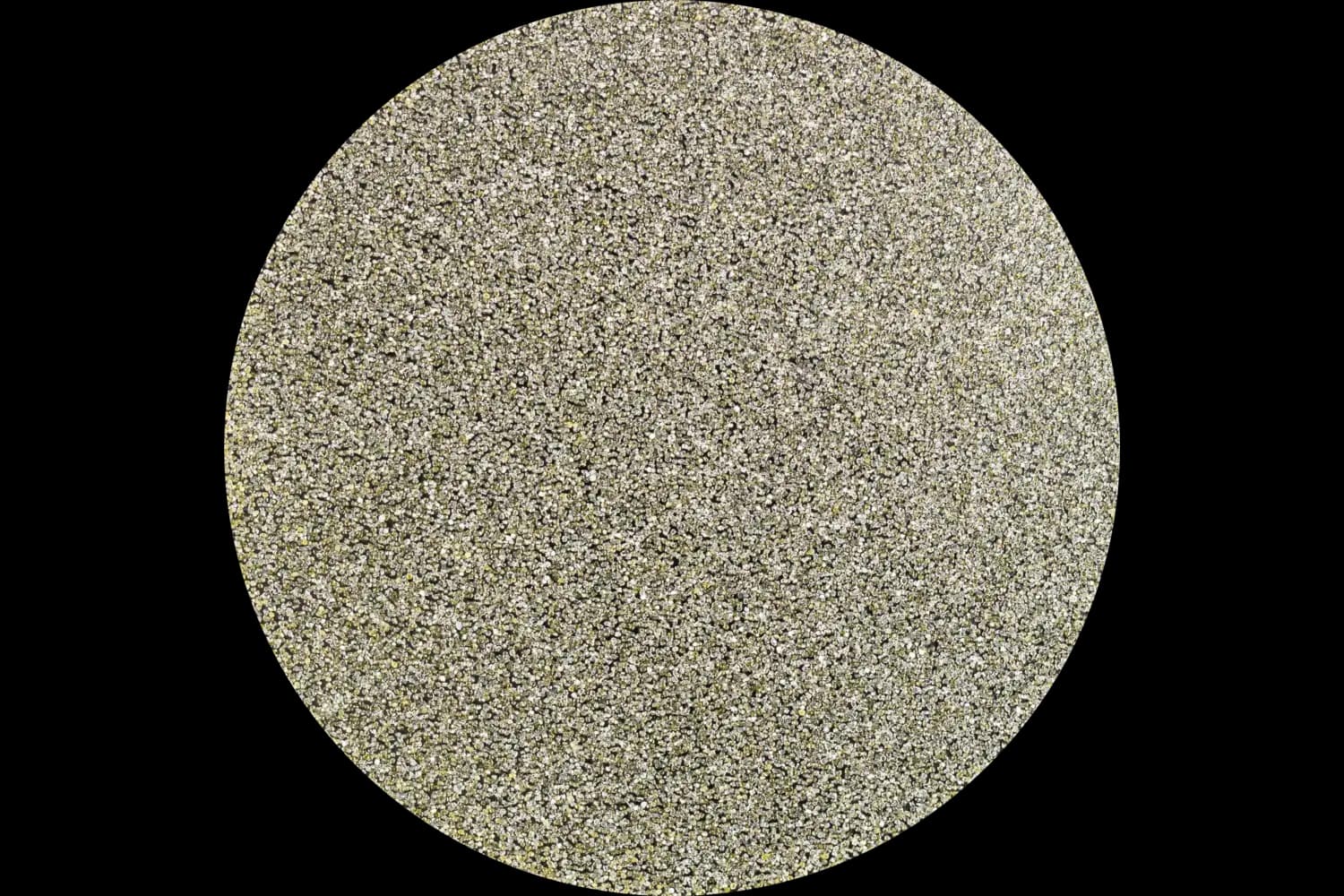 Disc abraziv de șlefuire CDR DIA 50 D 251 - P 60