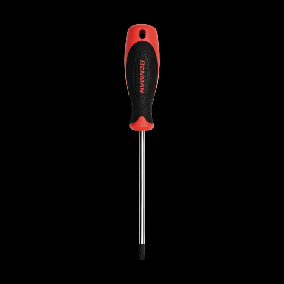 SURUBELNITA TORX, Benman, TX15x100mm