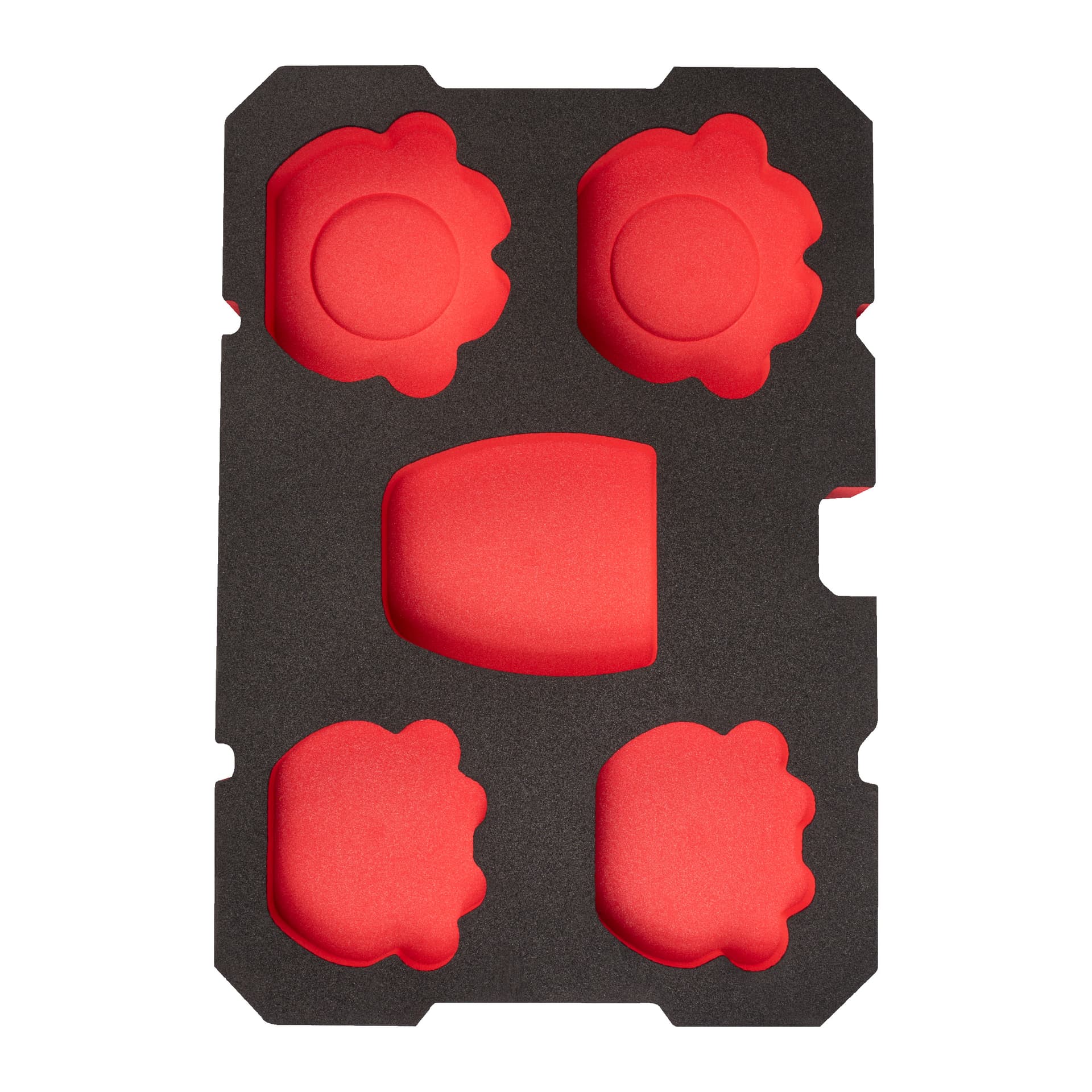 Inserție spumă goală PACKOUT™ 4xfălci+RJ Adaptor