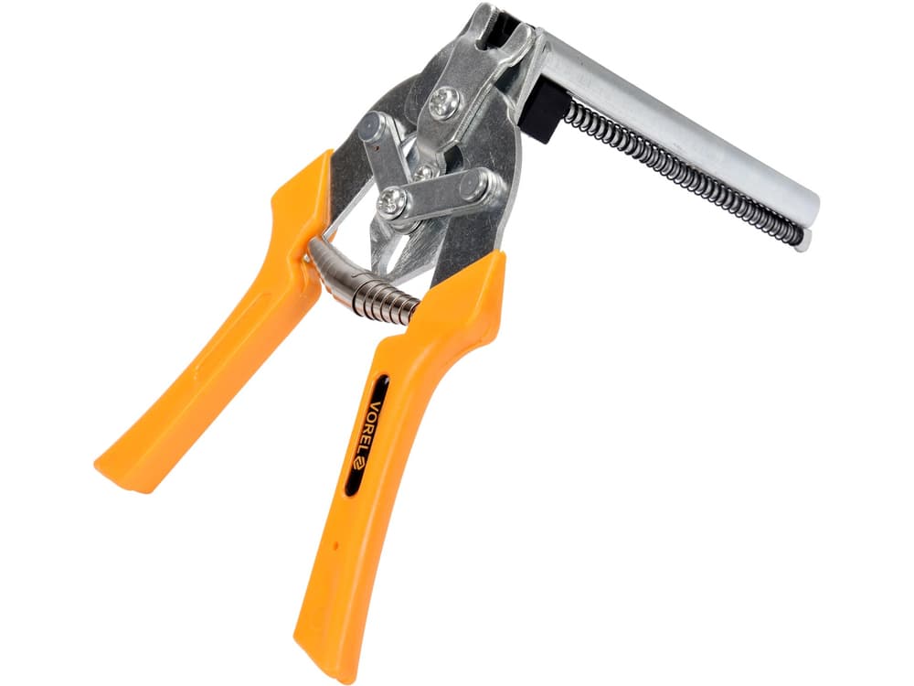vorel-49840