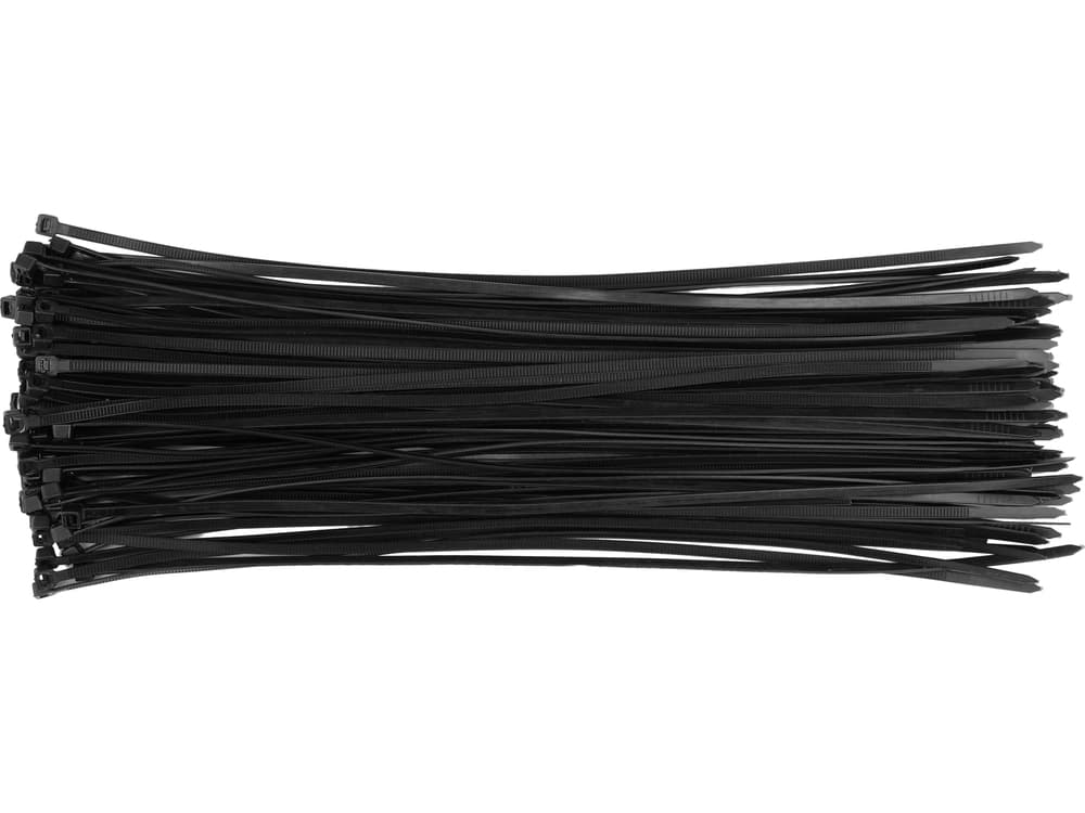 vorel-73892